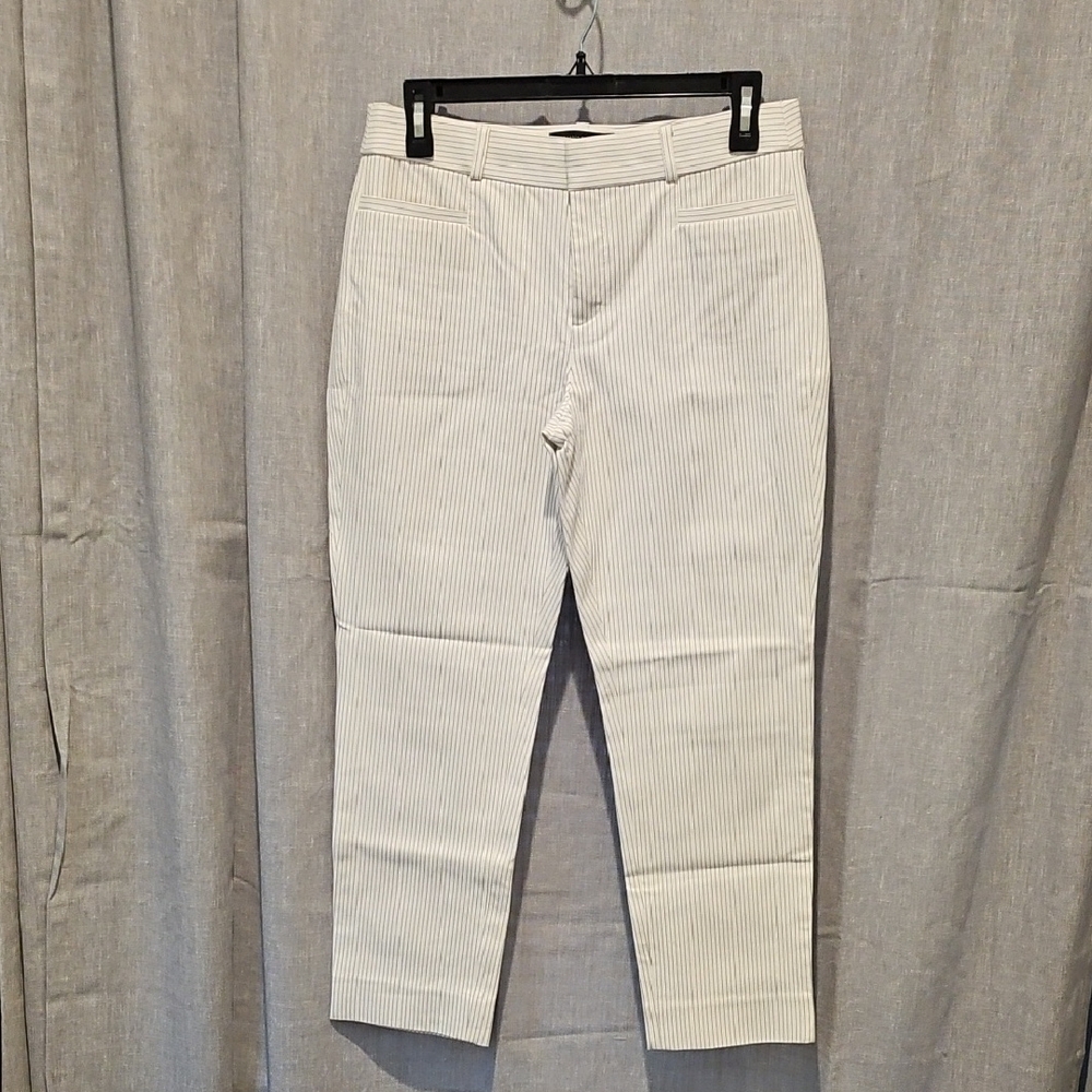 Banana Republic Modern Sloan Pants